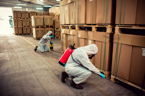 Best Flea Control Services  in Stallings, NC