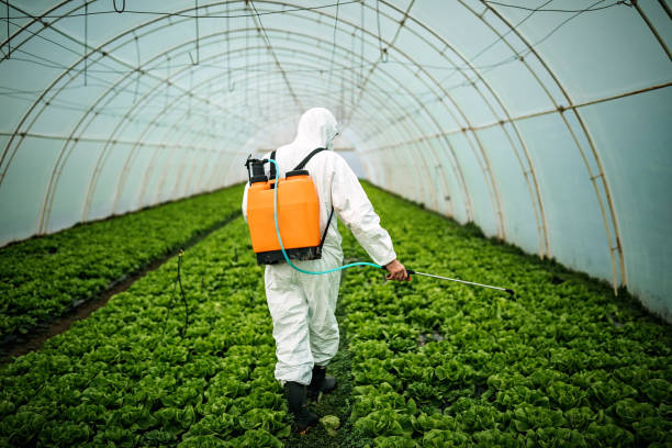 Professional Pest Control in Stallings, NC