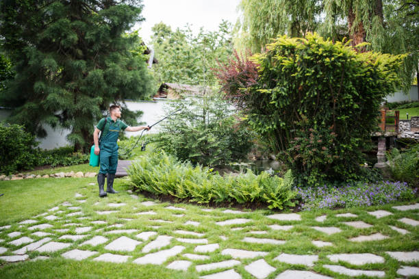 Best Residential Pest Control  in Stallings, NC