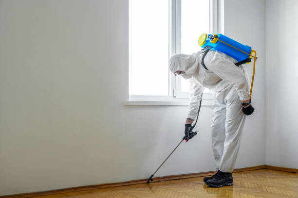 Best Wildlife Control Services  in Stallings, NC