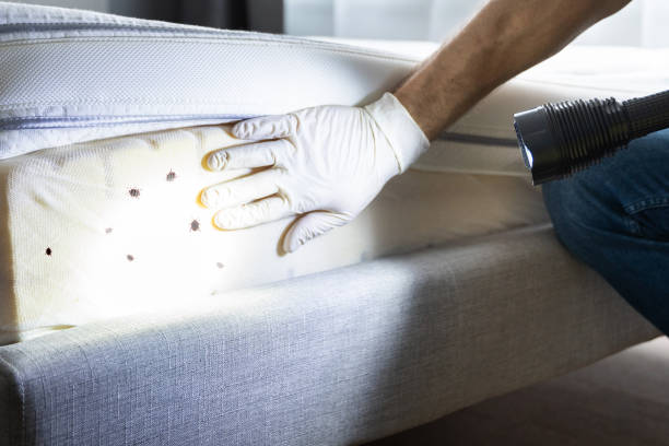 Best Pest Prevention Services  in Stallings, NC