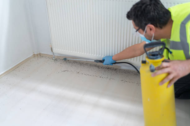 Best Pest Inspection Near Me  in Stallings, NC