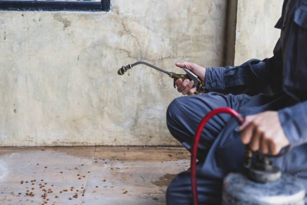 Best Mosquito Control Services  in Stallings, NC